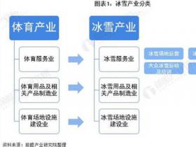 預(yù)見2021：《2021年中國(guó)冰雪產(chǎn)業(yè)全景圖譜》