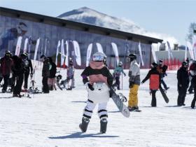 今冬哈爾濱將推出一系列群眾性活動和冰雪惠民舉措