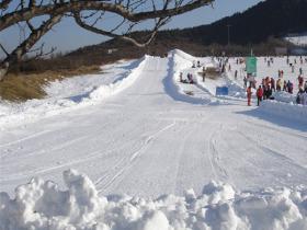 北京市順義區旅游行業協會到蓮花山滑雪場走訪調研