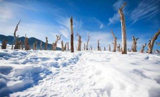 吉林省吉林市大力發展冰雪經濟促轉型