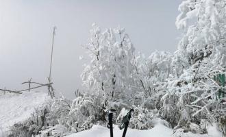 多地迎來“初雪” 旅企開打冰雪旅游卡位戰