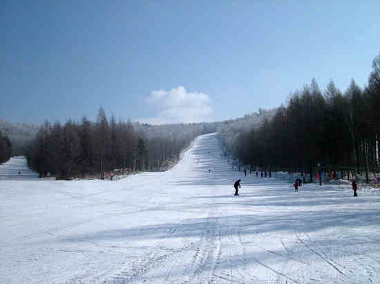 亞布力新體委滑雪場