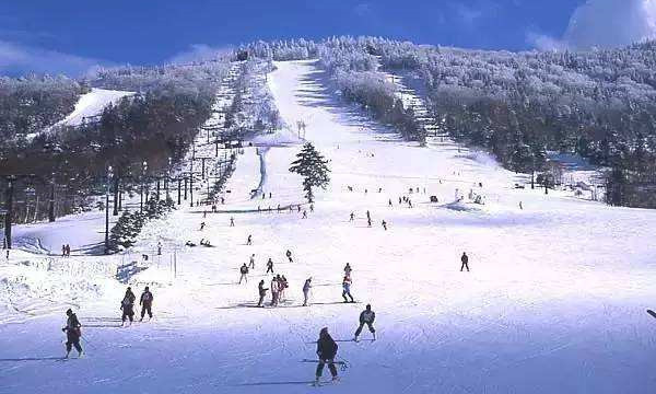 黑龍江哈爾濱林口飛燕山莊滑雪場(chǎng)