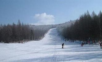 黑龍江伊春鐵力桃山滑雪場