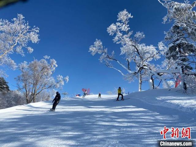 游客體驗冰雪的速度與激情