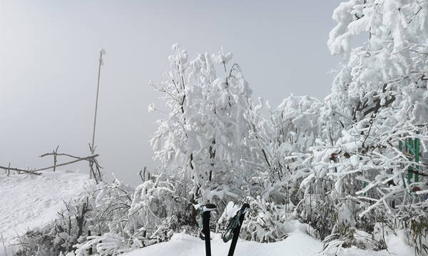 戶外雪景