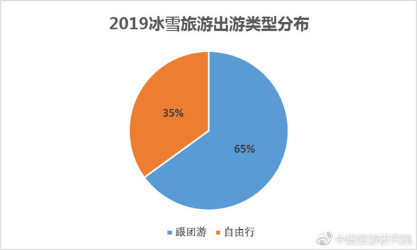 2019冰雪旅游出游類(lèi)型分布