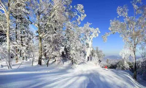 室外滑雪場