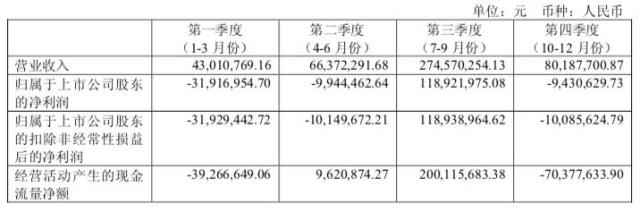 長(zhǎng)白山2018年分季度財(cái)務(wù)數(shù)據(jù)