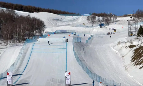 自由式滑雪和單板滑雪U型場地