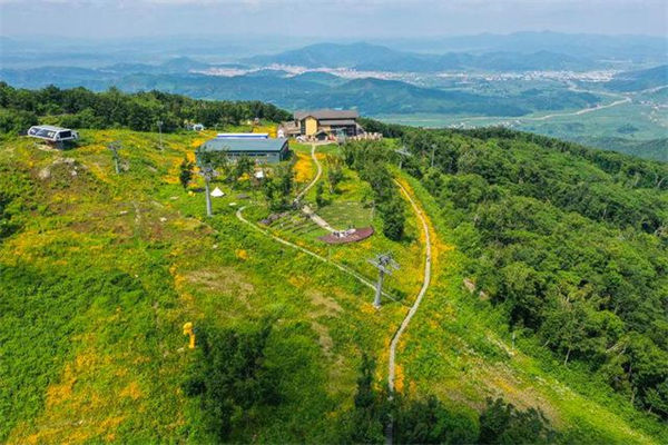 夏日里的萬科松花湖滑雪場山頂花海