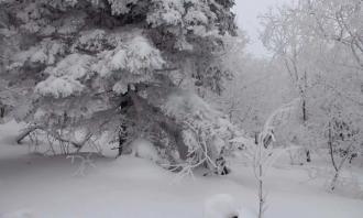 吉林省對“冰雪絲路”戰略新構想